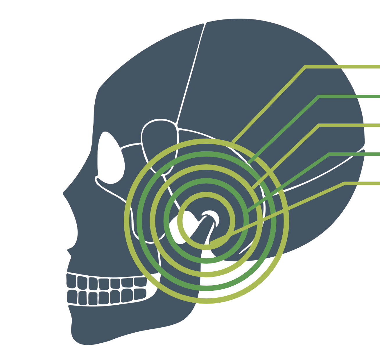 explaining tmj pain in a graphic