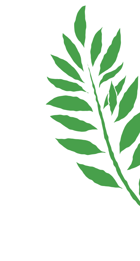 Green leaf branch silhouette against a black background, fern-like fronds spreading outward, decorative illustration.